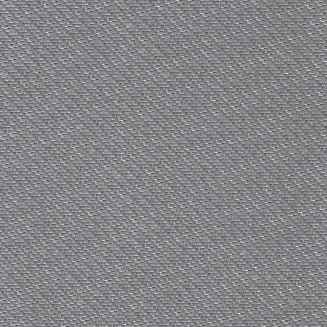 CAR-S1101 Silver
