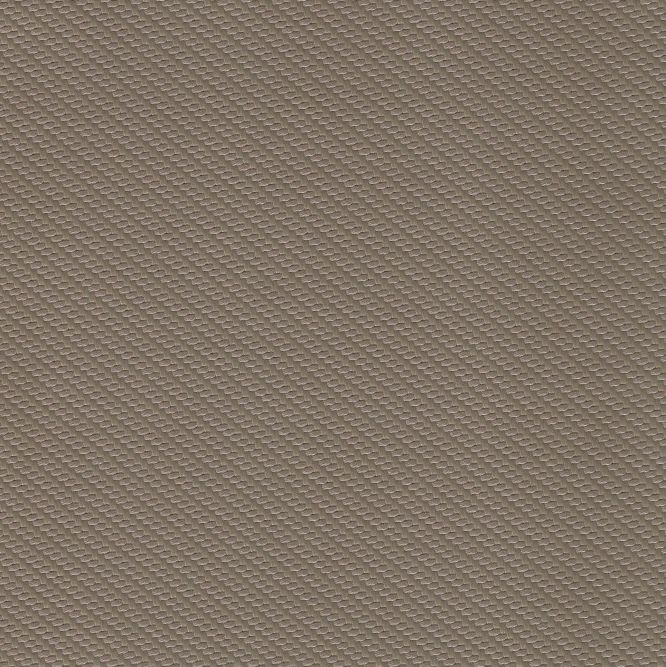 Carbon Fiber Toast