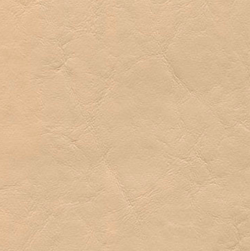 ECL-002 * Parchment
