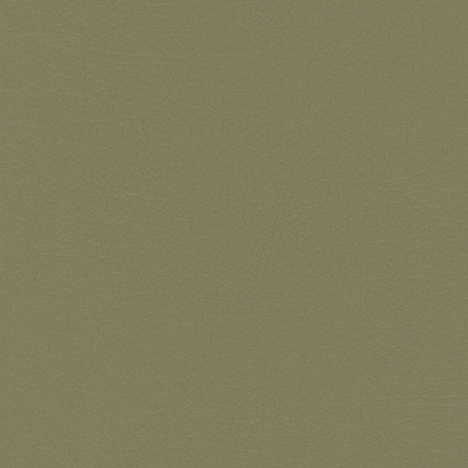 NUA-2463 Medium Neutral