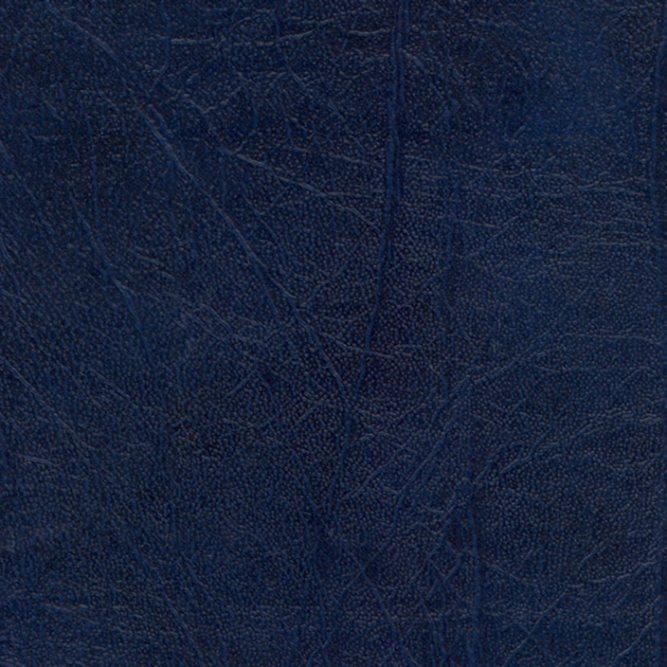 OXS-9846 Dark Blue