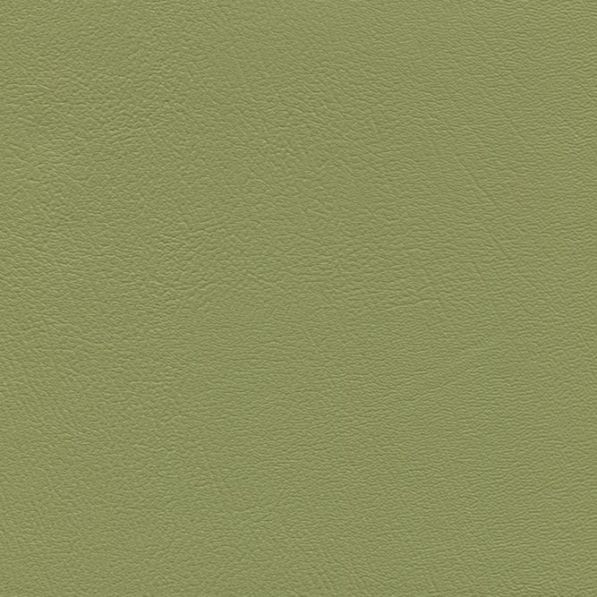 PRZ-033 Olive