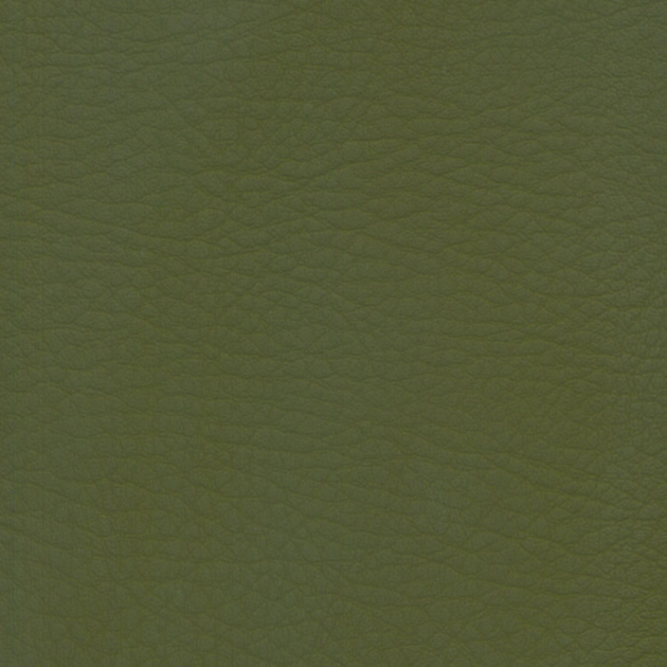 WHI-2129 Forest