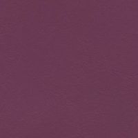 WIS-704 Asian Plum